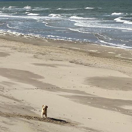 Natur Pur, O4 Neues Ferienhaus Natureingebunden, Familien- Und Hundefreundlich Eingezaeunt カラントスウオーフ エクステリア 写真