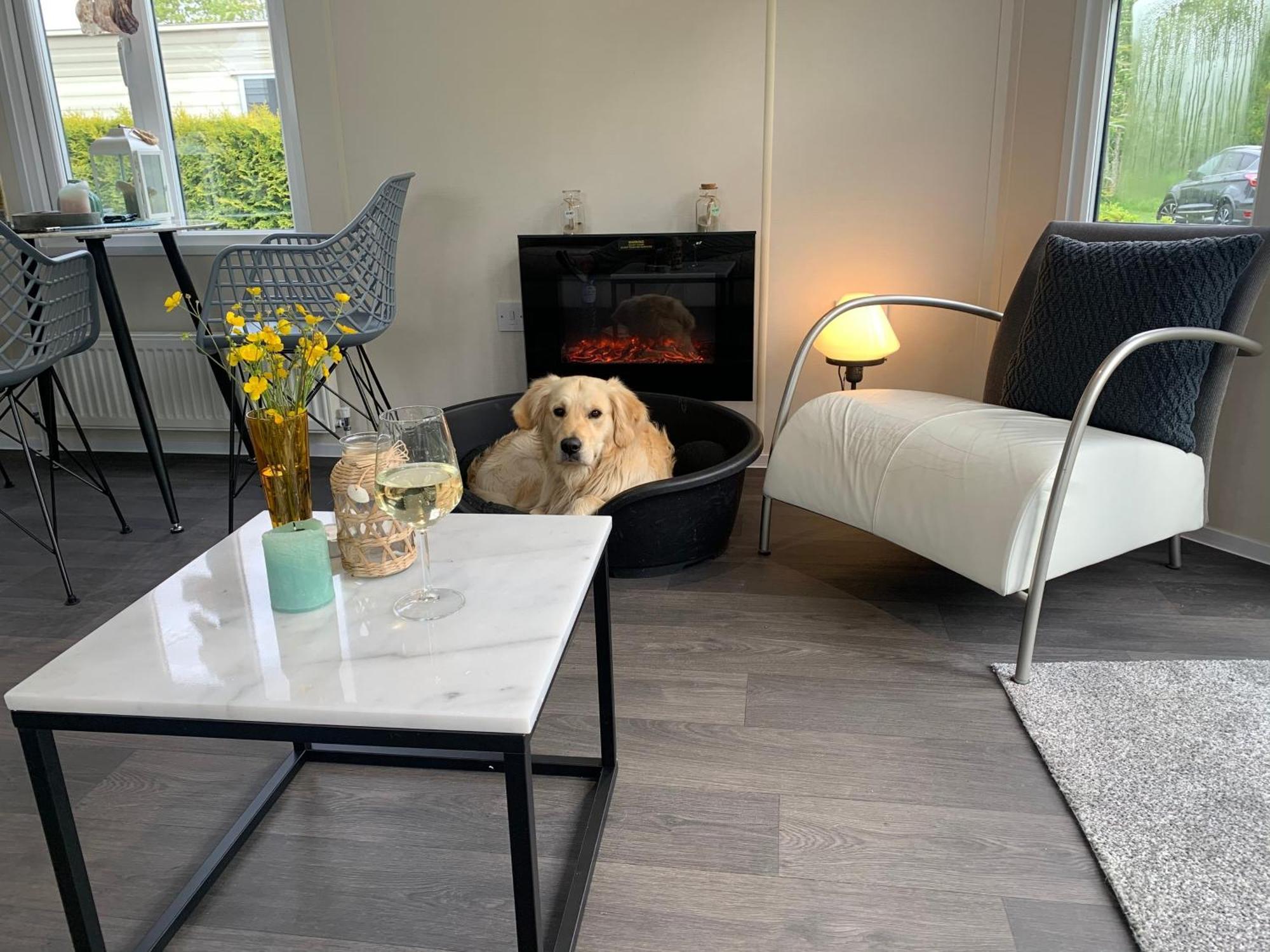 Natur Pur, O4 Neues Ferienhaus Natureingebunden, Familien- Und Hundefreundlich Eingezaeunt カラントスウオーフ エクステリア 写真